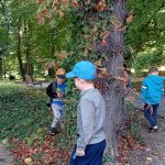 phoca_thumb_m_zajci v ic 57 Fotogalerie